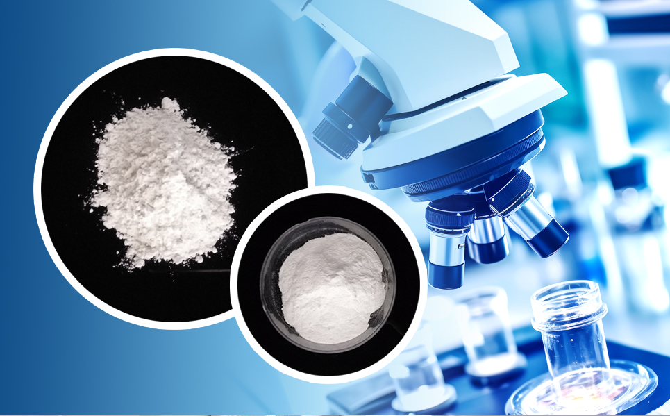 首页- 必发集团有限公司官方网站