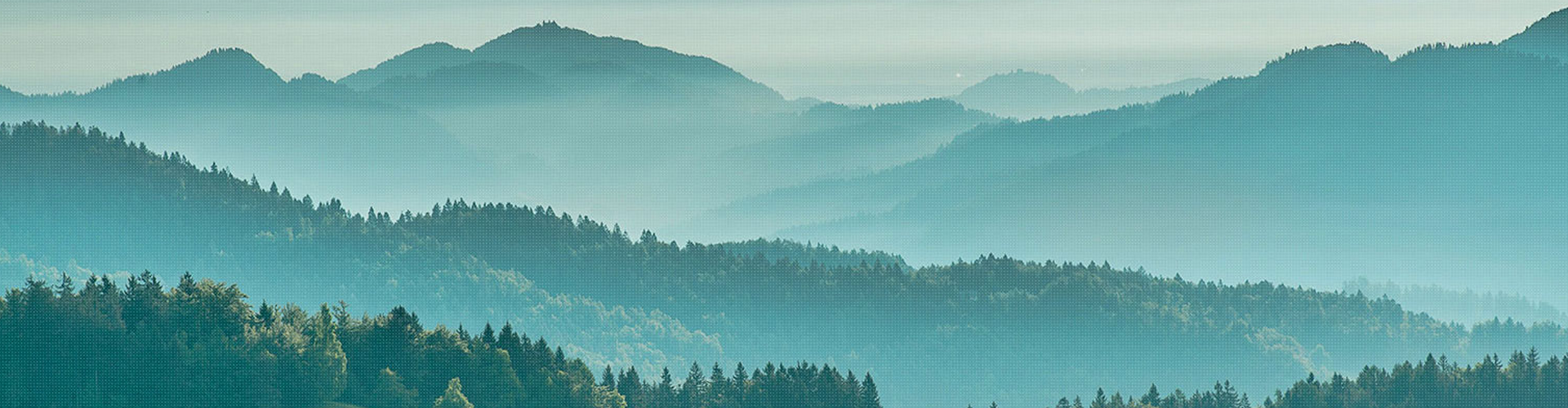 塞班岛线路检测中心(中国区)官方网站